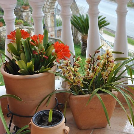Amaryllis House Apartman Párga Kültér fotó