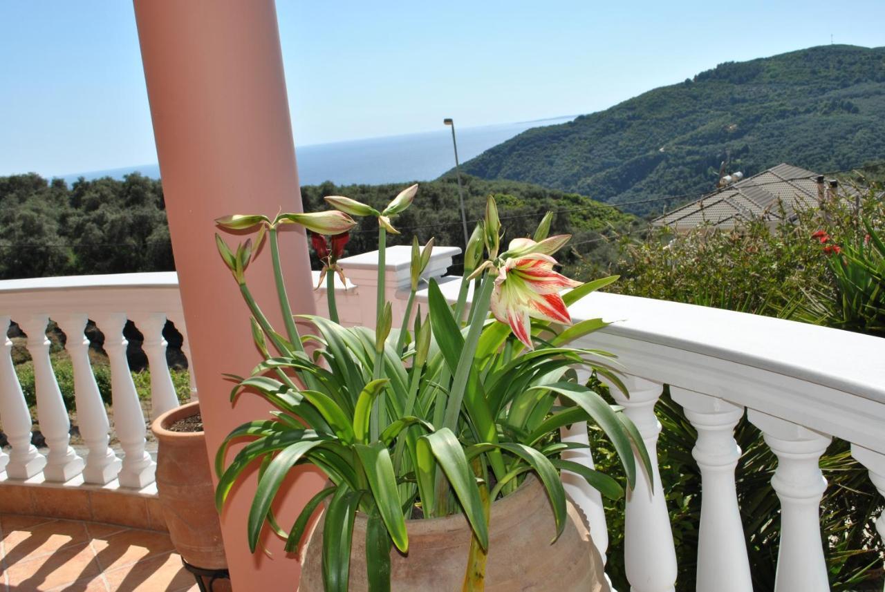 Amaryllis House Apartman Párga Kültér fotó