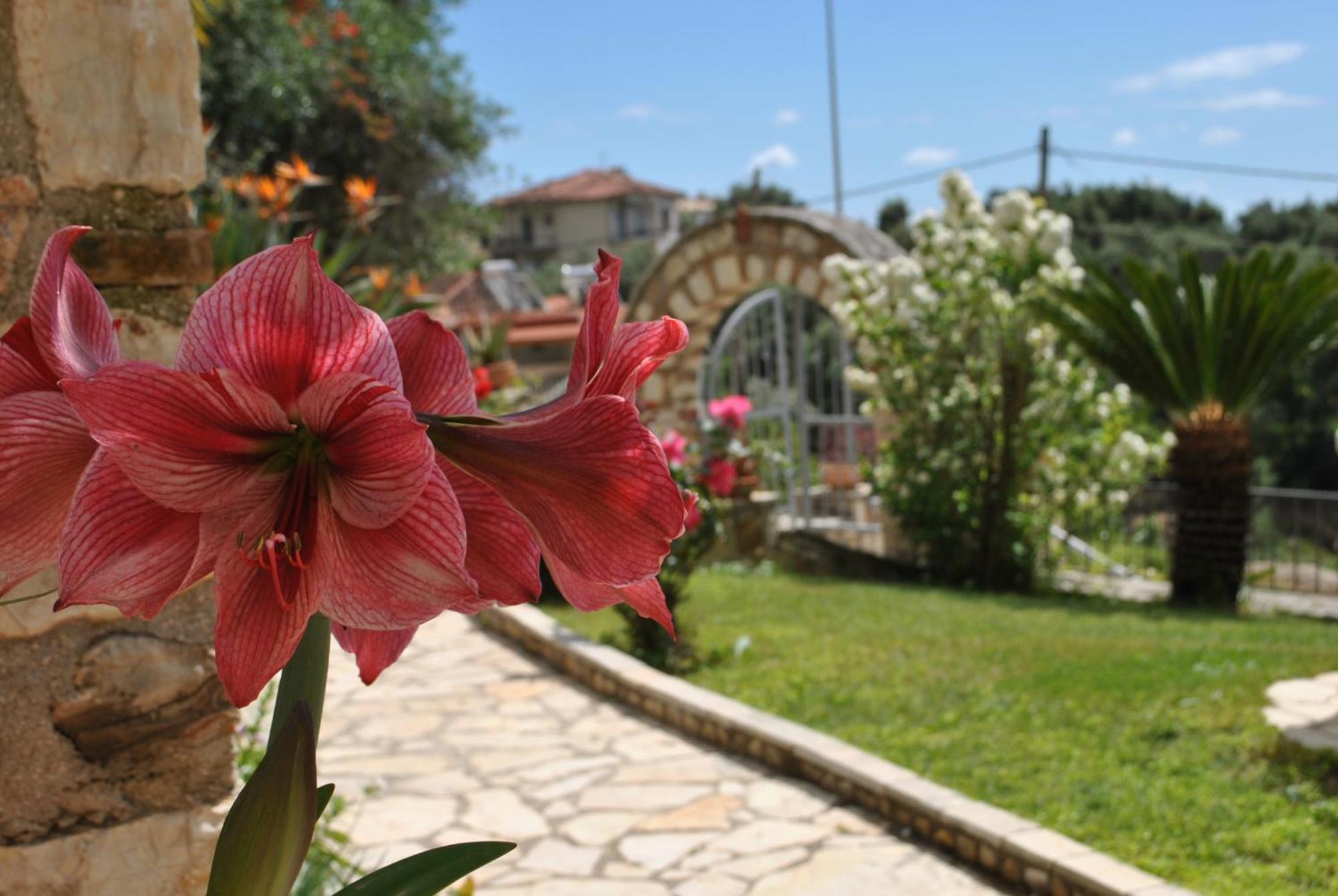 Amaryllis House Apartman Párga Kültér fotó